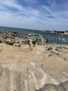 2025 erasmus Lilo Angers 02